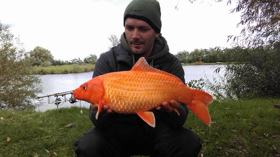 2015 - 121091201041512205881598858721893816210995n.jpg